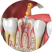 Endodontics
